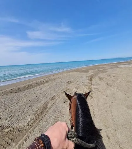 Passeggiata a cavallo a Castagneto Carducci