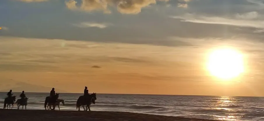 Passeggiata a cavallo a Castagneto Carducci