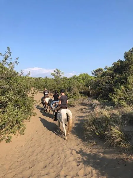 Passeggiata a cavallo a Castagneto Carducci
