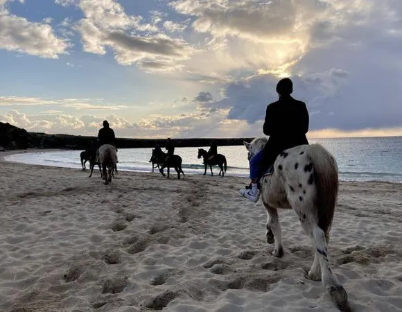 Passeggiata a cavallo a Taranto