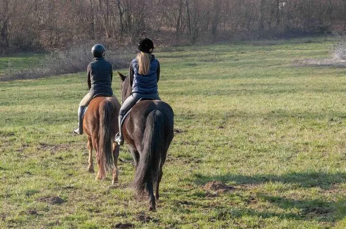Passeggiata a cavallo tra boschi e vigneti a Borgomanero