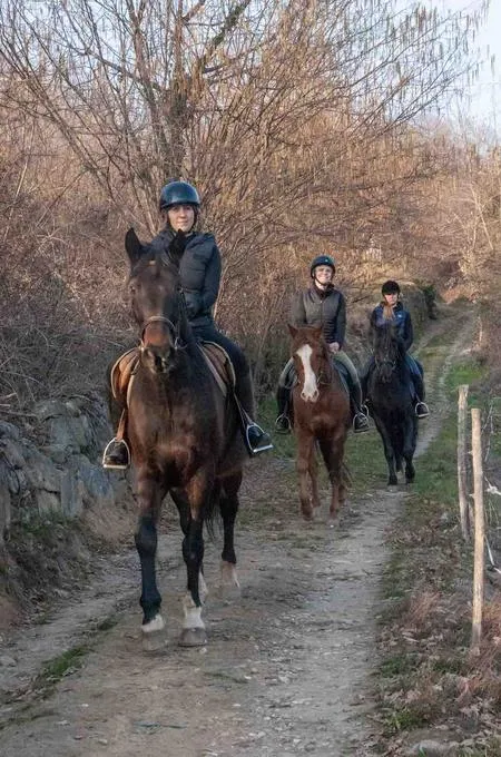 Passeggiata a cavallo tra boschi e vigneti a Borgomanero
