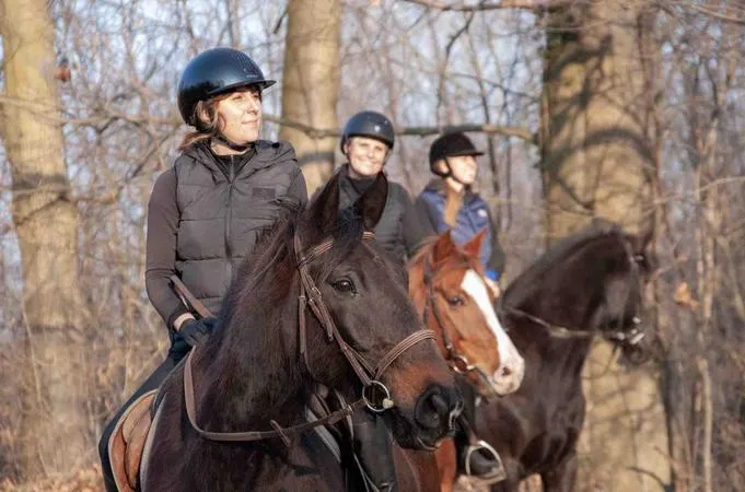 Passeggiata a cavallo tra boschi e vigneti a Borgomanero