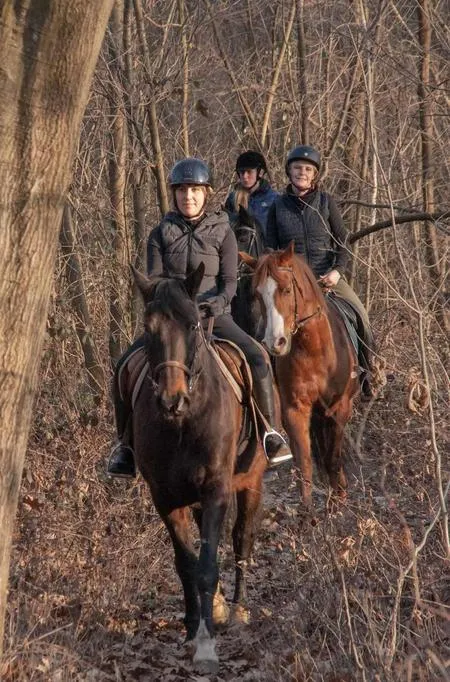 Passeggiata a cavallo tra boschi e vigneti a Borgomanero