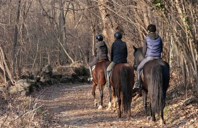 Passeggiata a cavallo tra boschi e vigneti a Borgomanero