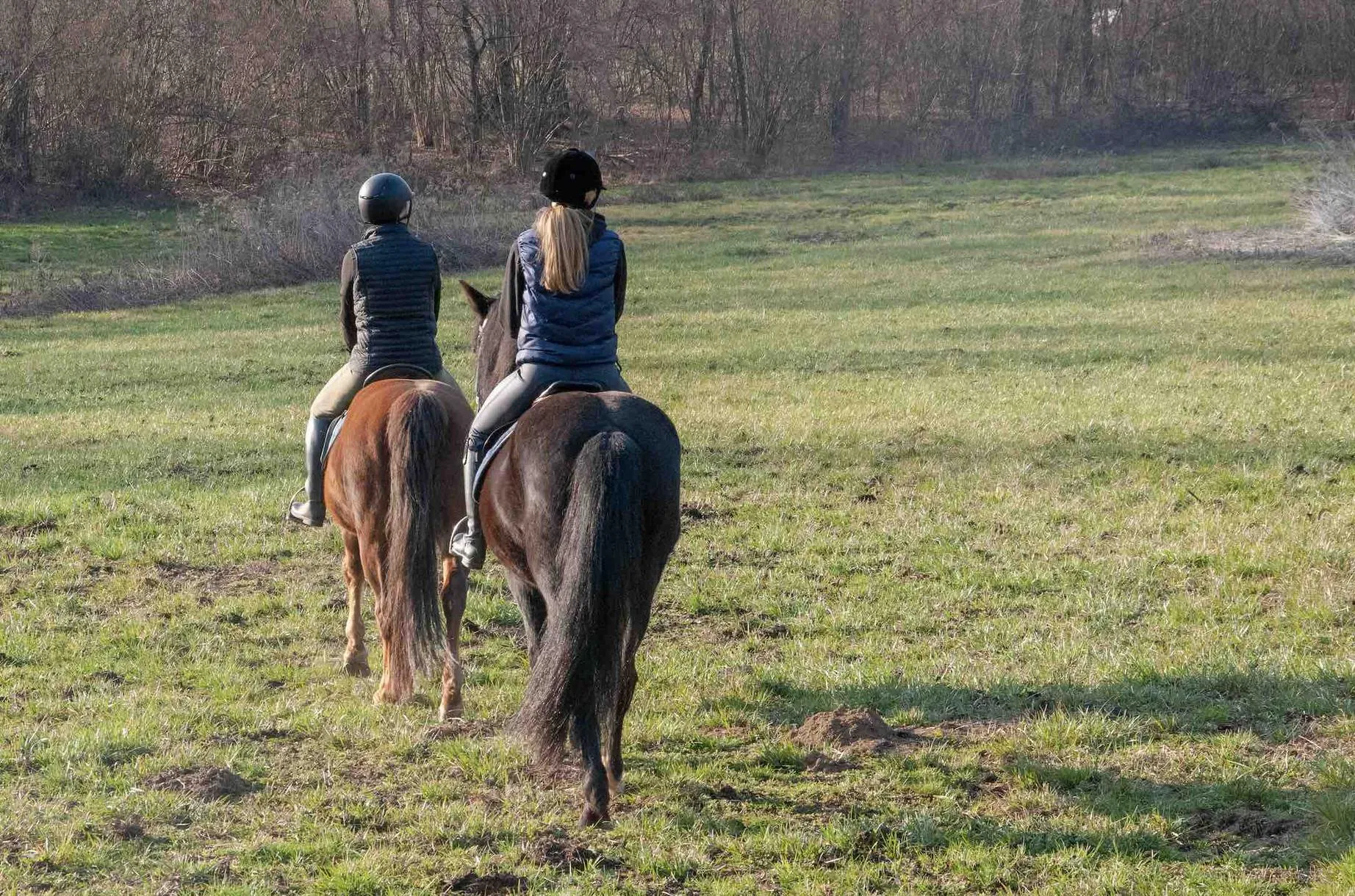 Passeggiata a cavallo tra boschi e vigneti a Borgomanero