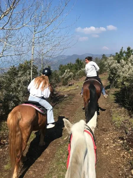 Passeggiata a cavallo alle Cinque Terre da Monterosso