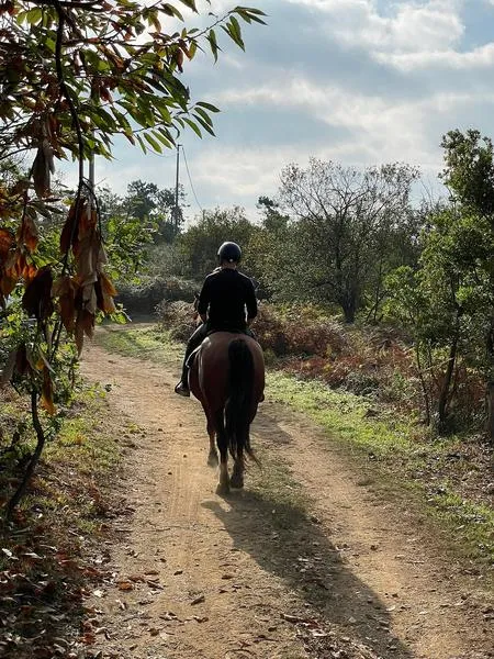Passeggiata a cavallo alle Cinque Terre da Monterosso