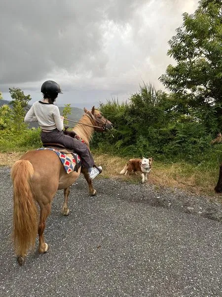 Passeggiata a cavallo alle Cinque Terre da Monterosso