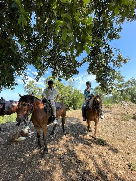 Passeggiata a cavallo alle Cinque Terre da Monterosso