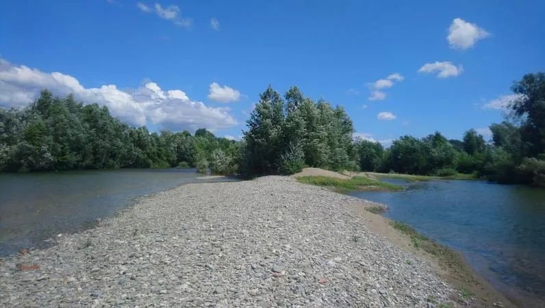 Rafting sull'Arno da Firenze con aperitivo