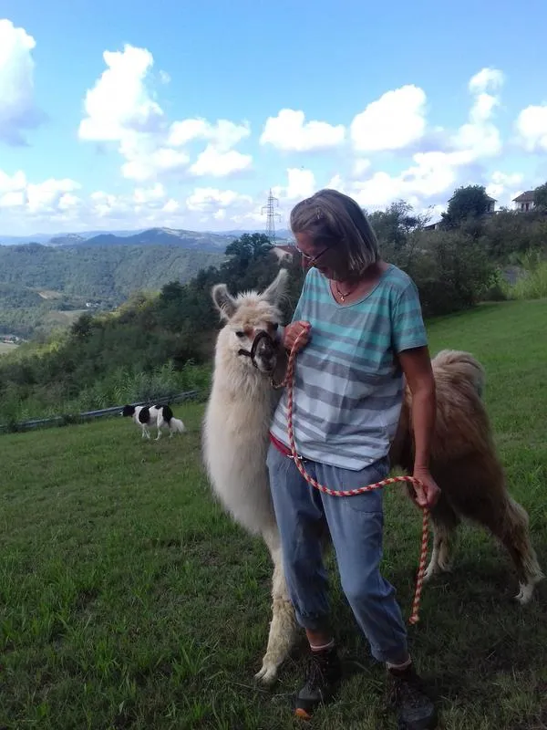 Passeggiata con alpaca sulle colline del Monferrato da Cavatore