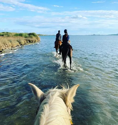 Passeggiata a cavallo nella Laguna di Sant'Antioco