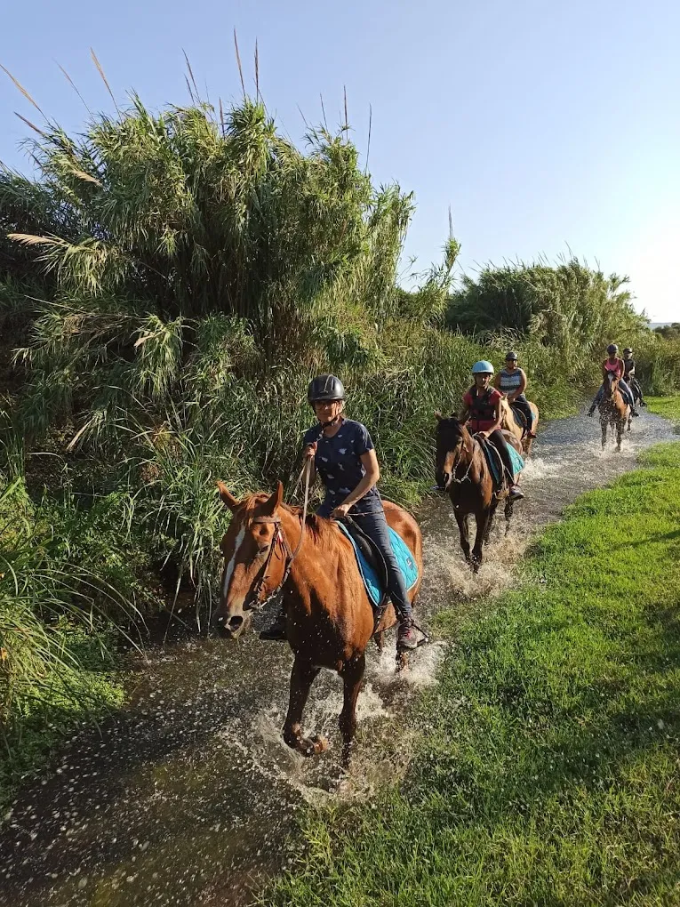 Passeggiata a cavallo nella Laguna di Sant'Antioco