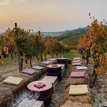 Aperitivo in vigna nel Monferrato sulle colline di Cella Monte