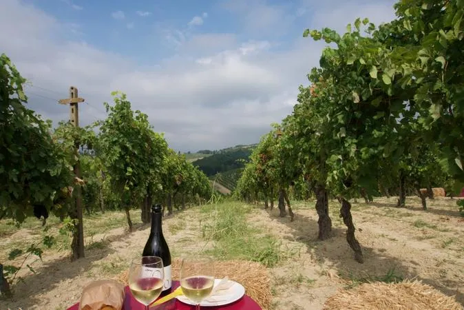 Aperitivo in vigna nel Monferrato sulle colline di Cella Monte