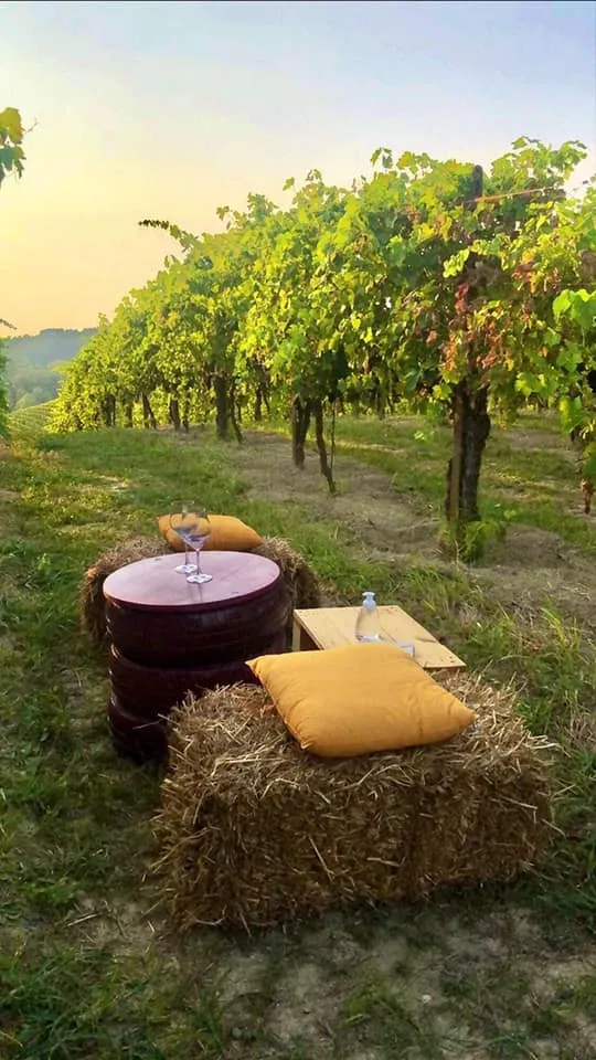 Aperitivo in vigna nel Monferrato sulle colline di Cella Monte