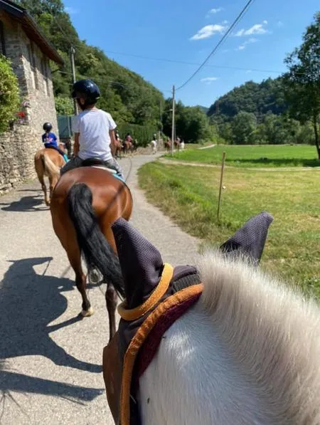 Passeggiata a cavallo al Lago d'Orta