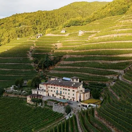 Picnic tipico in vigna in Valtellina