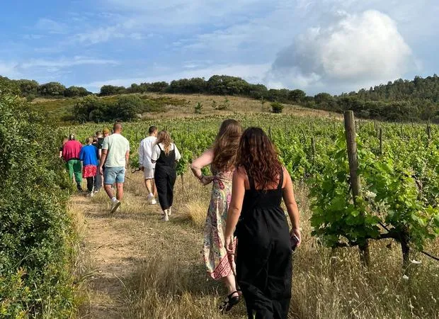 Picnic in vigna a Villasimius