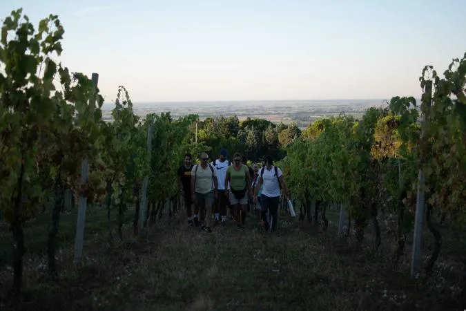 Degustazione vini sulle Colline Romagnole