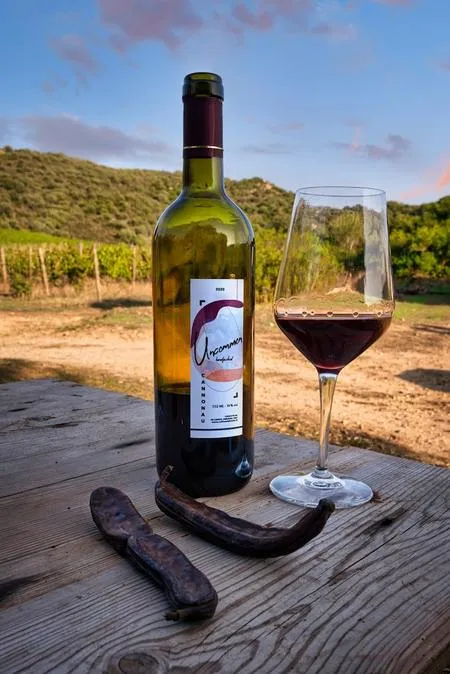 Degustazione vini e visita in vigna a Villasimius