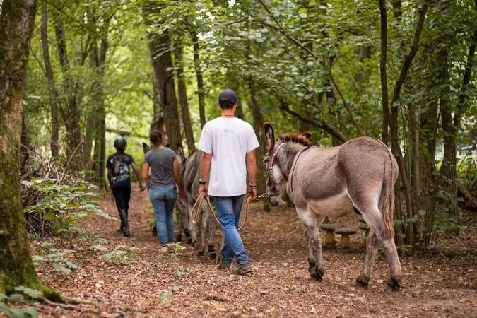 Passeggiata con gli asini sul colle di San Michele e merenda