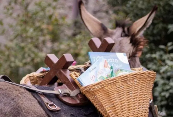 Passeggiata con gli asini sul colle di San Michele e merenda