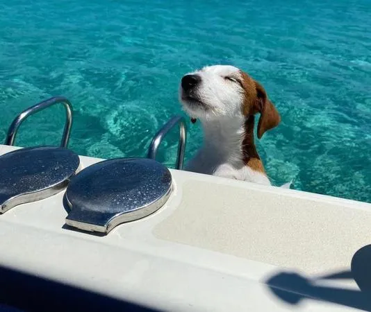 Escursione privata in barca a Spargi e Budelli da Palau