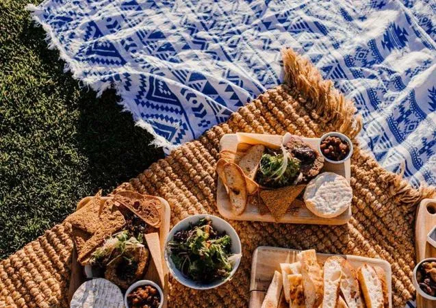 Picnic in vigna a Colle Val d'Elsa