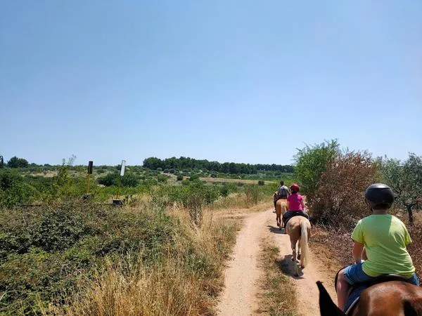 Passeggiata a cavallo con pranzo nelle Murge da Corato