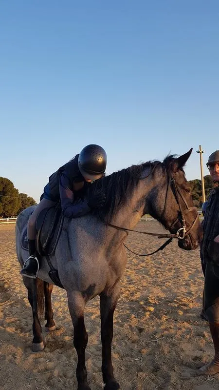 Passeggiata a cavallo con pranzo nelle Murge da Corato