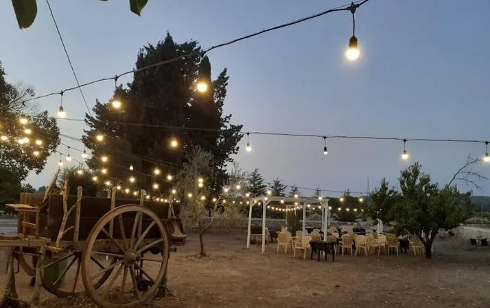 Passeggiata a cavallo con pranzo nelle Murge da Corato