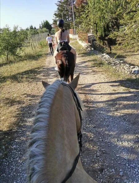 Passeggiata a cavallo con pranzo nelle Murge da Corato