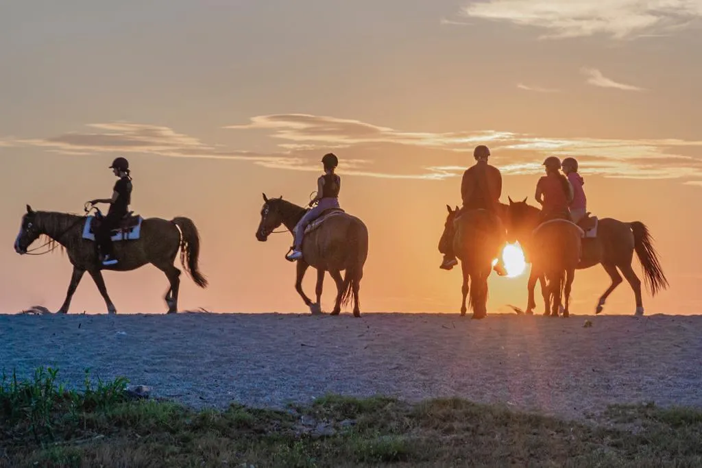 Passeggiata a cavallo al Conero da Numana