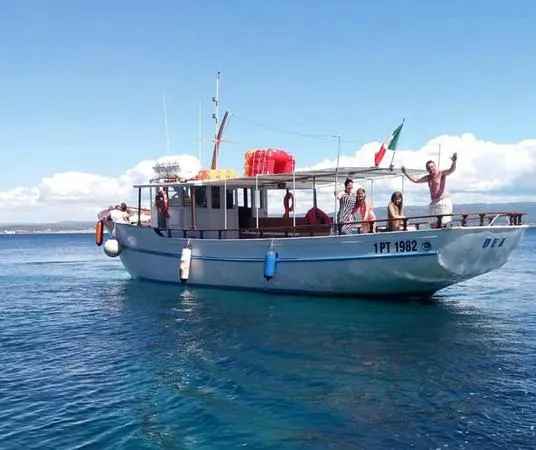 Aperitivo in barca con avvistamento delfini da Alghero