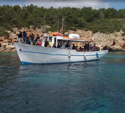 Aperitivo in barca con avvistamento delfini da Alghero