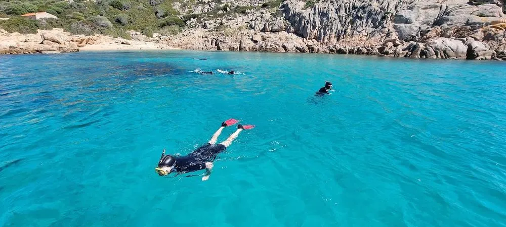 Mezza giornata in gommone alla Tavolara da Porto San Paolo