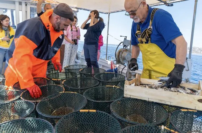 Pescaturismo nel Parco Nazionale dell'Asinara da Stintino