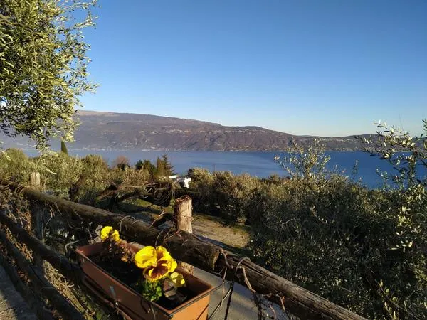 Passeggiata a Cavallo al Lago di Garda
