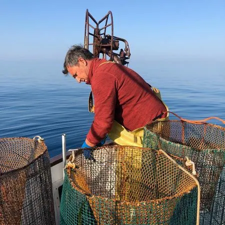 Pescaturismo all'Isola d'Elba con pranzo