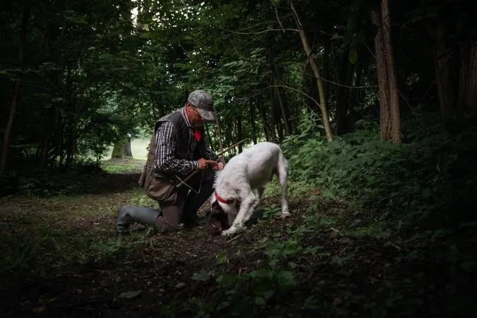 Caccia al tartufo e degustazione a Canelli nel Monferrato