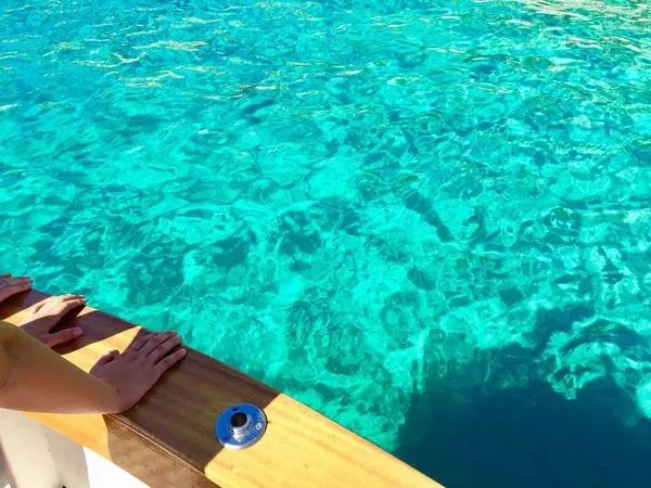 Escursione in barca all'isola del Giglio da Porto Santo Stefano