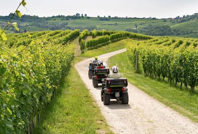 Escursione in quad e degustazione vini nelle Langhe da Alba