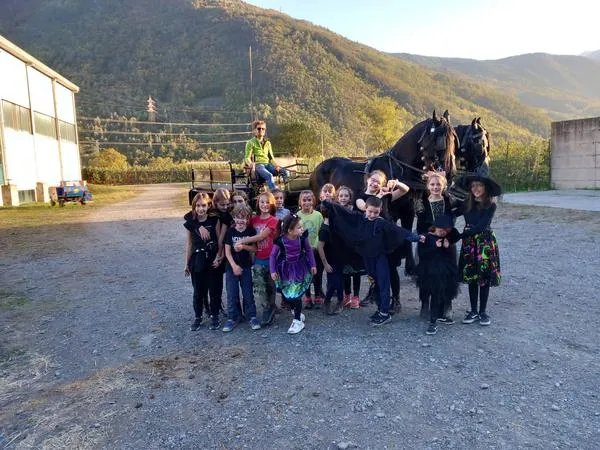 Giro in carrozza tra i meleti della Valtellina