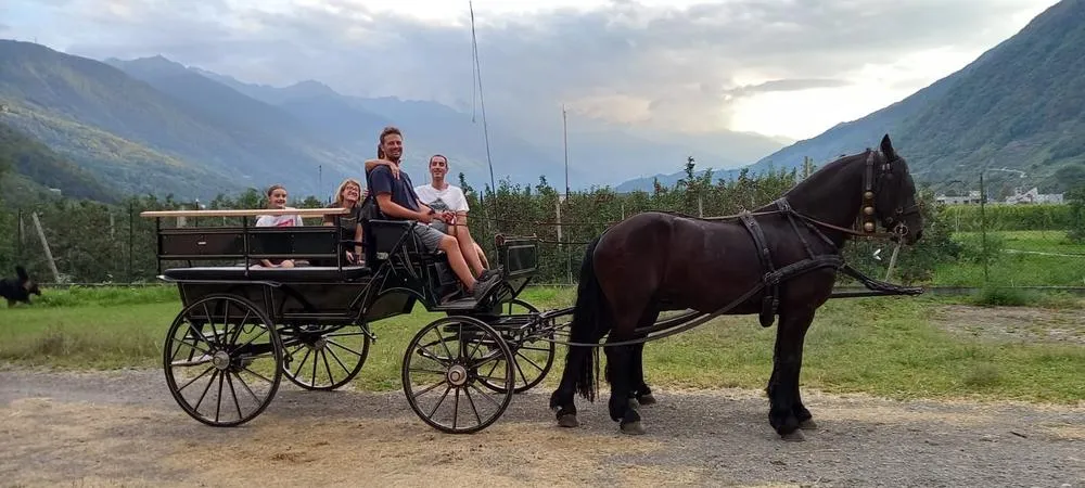Giro in carrozza tra i meleti della Valtellina