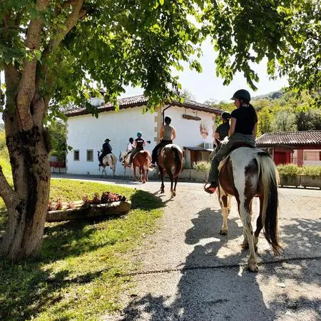 Passeggiata a cavallo sulle Colline del Prosecco da Cison di Valmarino