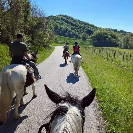 Passeggiata a cavallo sulle Colline del Prosecco da Cison di Valmarino