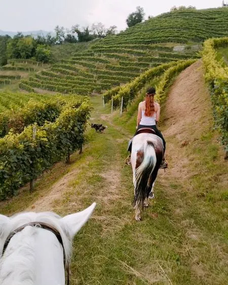 Passeggiata a cavallo sulle Colline del Prosecco da Cison di Valmarino