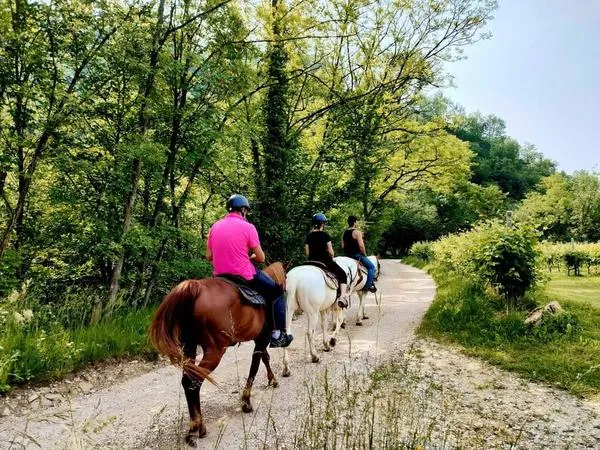 Passeggiata a cavallo sulle Colline del Prosecco da Cison di Valmarino